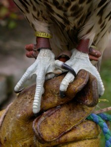 The death grip of the Catholic Church may be its own limitation. 