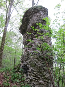 This column of limestone in an Iowa forest perfectly illustrates the enormous timeline it took for oceans to lay down layers of silt that turned into stone, and the many years of hydrology and erosion it took to become a column before us. 