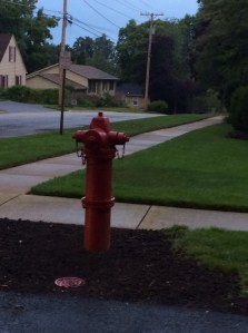 Fire Hydrant