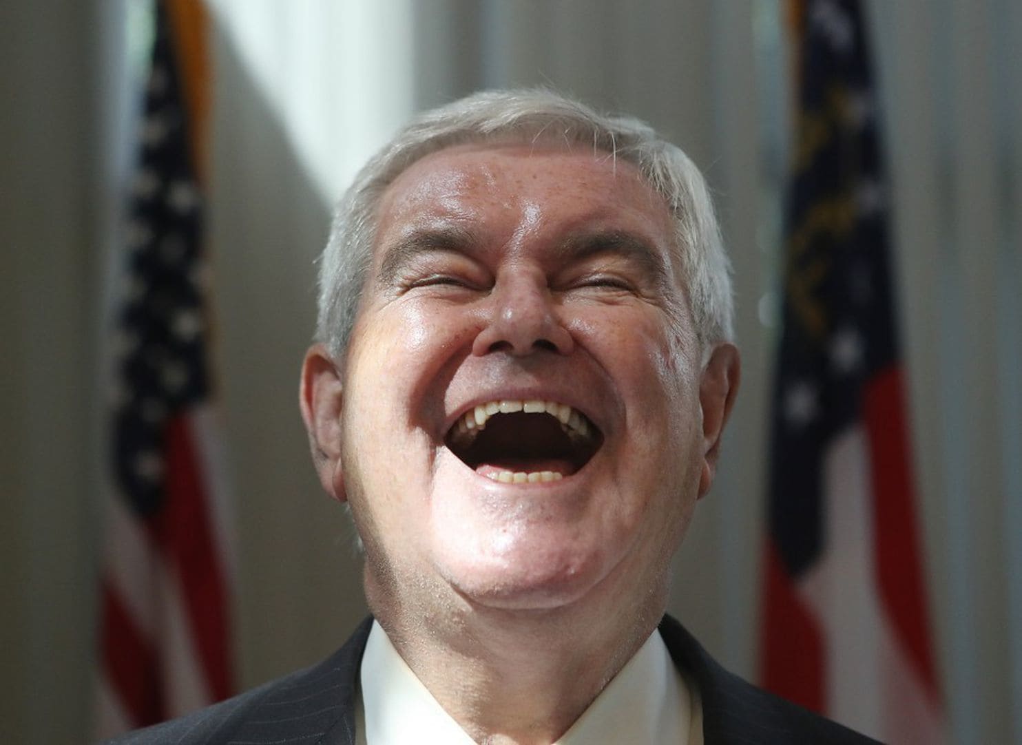 newt gingrich